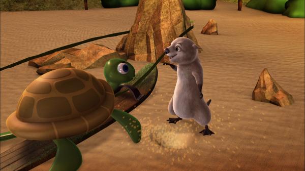 Bild 1 von 3: Otter Bobsie hat Schildkröte Minkie geholfen, an den Strand zu kommen, damit sie dort ihre Eier ablegen kann.