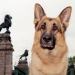 Kommissar Rex