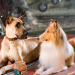 Marmaduke