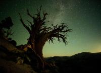 Amerikas Naturwunder: Im Gebirge der Giganten