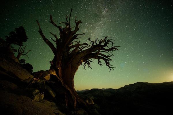 Bild 1 von 6: Im Bild: Der Yosemite-Nationalpark im Nordosten Kaliforniens.