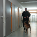 Alltag im deutschen Knast