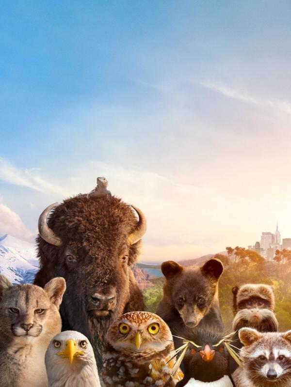 Bild 1 von 2: The Americas - Wilde Abenteuer