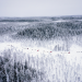 Abenteuer Lappland - Die Husky-Tour des Lebens