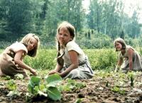 Die Kinder von Bullerbü