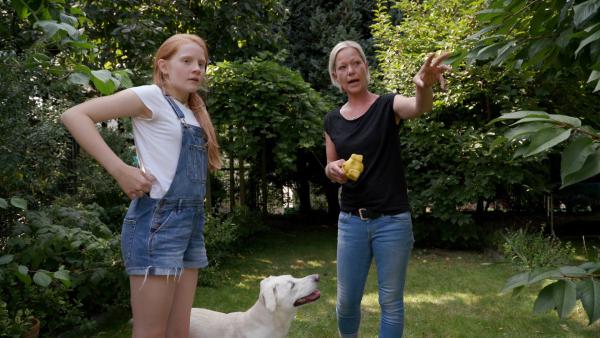 Bild 1 von 10: Das Training mit Tara und er Hundetrainerin macht Paula viel Spaß.