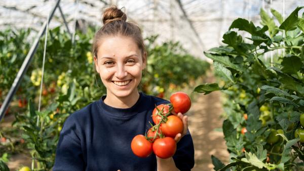 Bild 1 von 6: Checkerin Marina findet raus, wie Tomaten wachsen und warum sie im Gewächshaus gepflanzt werden.