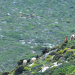 Griechenland von Insel zu Insel