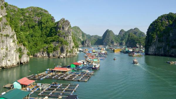 Bild 1 von 25: Im Bild: Schwimmende Dörfer in der Ha Long Bucht.