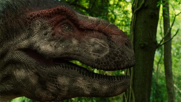 Bild 1 von 15: Tyrannosaurus war der bissstärkste Raubsaurier.