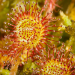 Abenteuer Wildnis