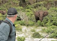 Chasing Monsters - Monsterfischen auf der Spur