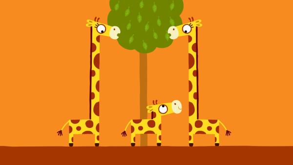 Bild 1 von 12: Die kleine Giraffe möchte gerne auch ein paar Blätter abhaben.