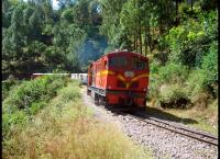 Auf schmaler Spur durch Indien