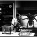 Tarantula