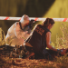 Blutroter Sommer