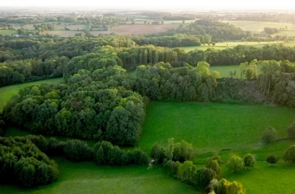 Bild 1 von 2: Der Bocage ist ein französischer Landschaftstyp. Für eine intensivere Landwirtschaft wurde er um 50 Prozent reduziert. Seine Wiederherstellung gilt heute als selbstverständlich.