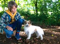 Tiere bis unters Dach