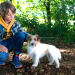 Tiere bis unters Dach