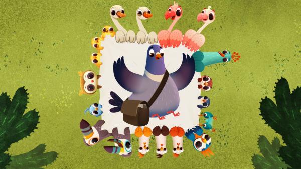 Bild 1 von 1: Alle Vögel arbeiten zusammen, als sie Herrn Brieftaube mit einem Sprungtuch aus einer gefährlichen Situation befreien.