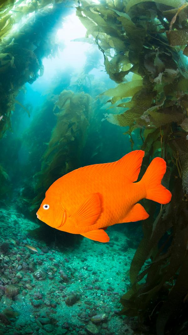 Bild 1 von 6: Sendungsbild