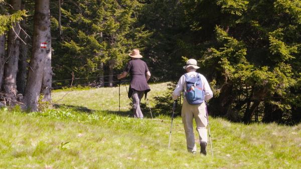 Bild 1 von 12: Im Bild: Grünangerhütte, Koralm.