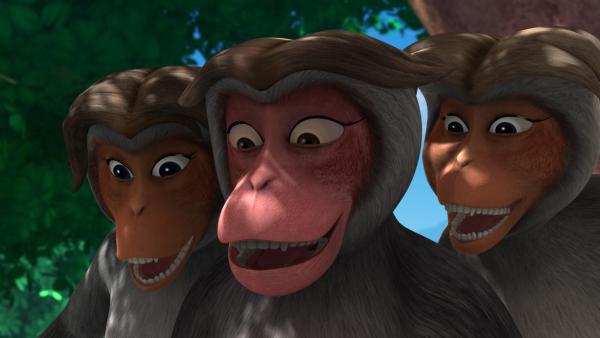 Bild 1 von 4: Die Äffin Mascha (Mi.) und ihre beiden Schwestern Mona und Mera machen sich einen Spaß daraus Rana, den Wildschweinkeiler, zu ärgern.