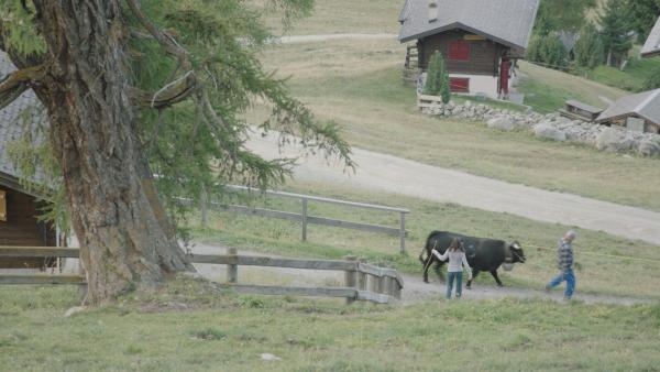Bild 1 von 11: Ökologie.