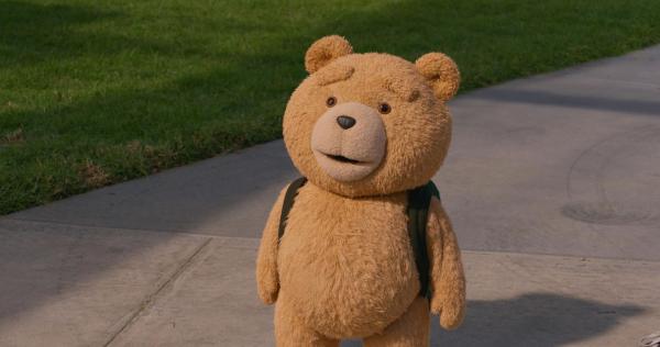 Bild 1 von 11: Ted