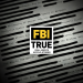 Inside FBI - Die härtesten Fälle