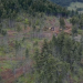 Mud Mountain Truckers