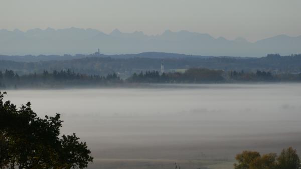 Bild 1 von 8: Morgennebel im Ampermoos.