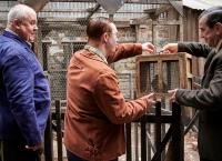 Call the Midwife - Ruf des Lebens