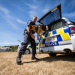 Hunde im Einsatz
