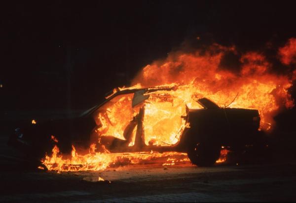 Bild 1 von 28: Kommissar Rex