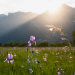 Das Alpen-Rheintal - Wo Natur an Grenzen stösst