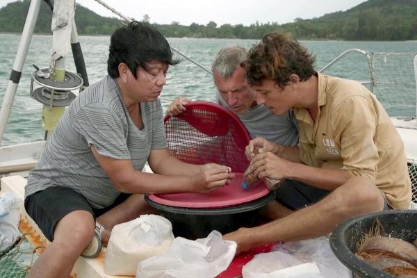 Bild 1 von 2: Insektenzüchter Alex (li.) zeigt Olivier Guy (Mi.) und Corentin de Chatelperron (re.), wie sie die Käfer richtig in der Box verstauen.