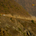 Rallye