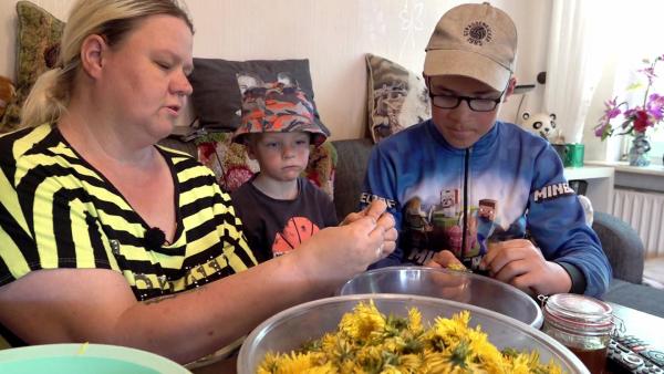 Bild 1 von 2: S12E94: In Ostfriesland hat Sandra unterdessen ein neues Hobby für sich entdeckt. Mit gesammelten Löwenzahnblüten und Zucker stellt sie ihren eigenen Honig her. Dabei kommt sie mit der Produktion kaum hinterher, denn Freunde und Verwandte sind ganz verrückt nach der hausgemachten Leckerei.