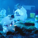 CSI: Den Tätern auf der Spur
