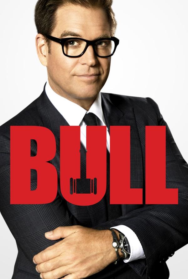 Bild 1 von 13: (4. Staffel) - Bull - Artwork