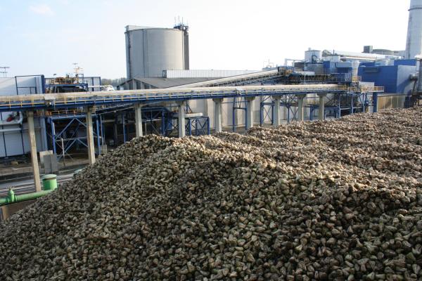 Bild 1 von 9: Zuckerfabrik Plattling (Südzucker).