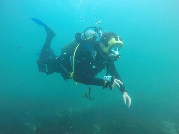 Bild 1 von 4: Josh Gates