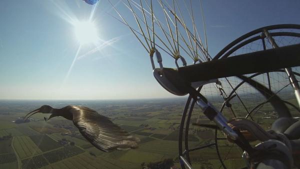 Bild 1 von 5: .