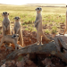 Abenteuer Wildnis