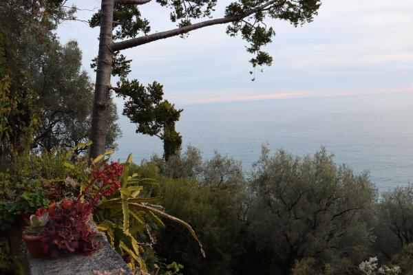 Bild 1 von 5: .