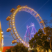 Das Wiener Riesenrad