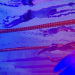Schwimmen: Commonwealth Games in Glasgow