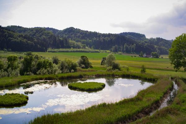 Bild 1 von 17: .