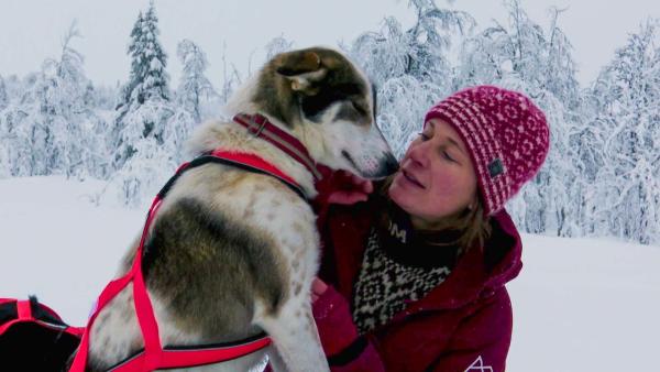 Bild 1 von 4: .